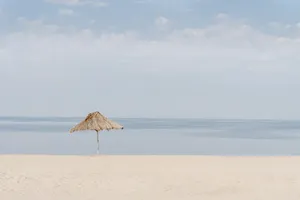 大海沙滩遮阳棚图片_1