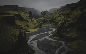 布满青苔的石头山图片_1