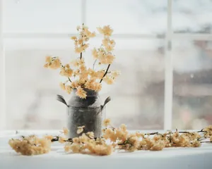 家居小清新插花图片