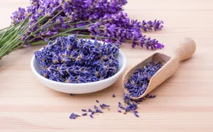 紫色薰衣草干花图片第1张