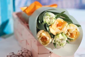 含苞待放郁金香花束图片