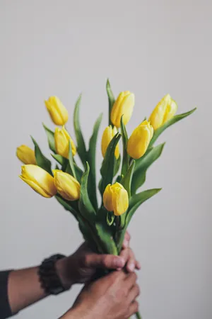 黄色郁金香手捧花图片