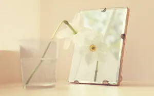 唯美瓶中花桌面壁纸_6
