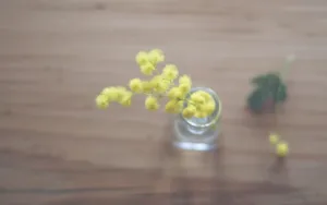唯美瓶中花桌面壁纸_7