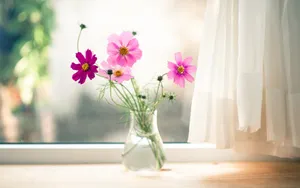 唯美瓶中花桌面壁纸_9