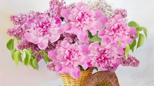 紫色丁香花图片_11