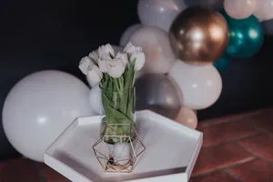 水培白色郁金香花朵图片