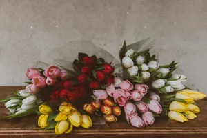 七夕节郁金香花束图片_1