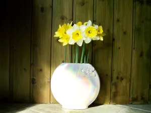静物水仙花图片_1