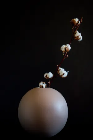 棉花干花装饰插花图片_1