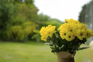黄色菊花插花图片_1