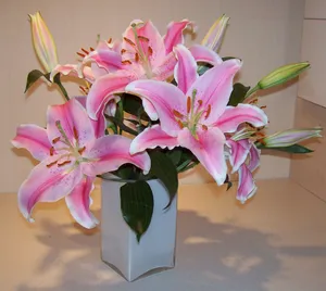 百合花瓶插花图片_1