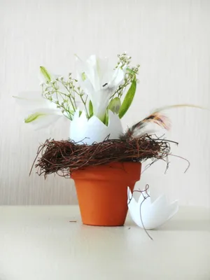 蛋壳插花图片_1