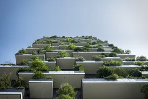 阳台绿色植物图片_1