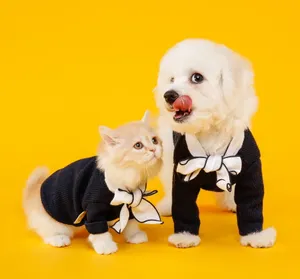 可爱猫狗合影图片