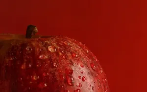 苹果图片壁纸_8