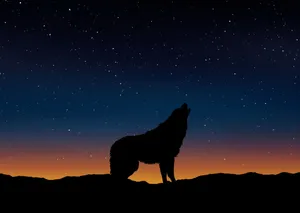 星空下的狼嚎图片