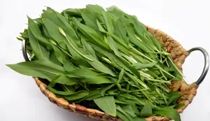 野生绿色蔬菜图片第1张