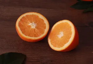 枝头已经成熟的桔子图片