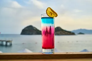 五颜六色酷炫的鸡尾酒图片_1
