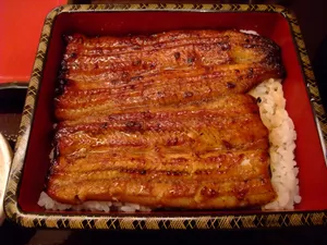 营养丰富美味好吃的鳗鱼图片_1