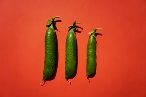 绿色鲜嫩的豌豆图片_1