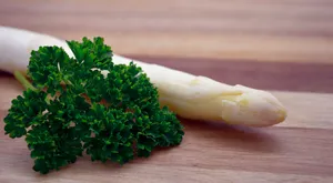 绿色新鲜气味特别的香菜图片