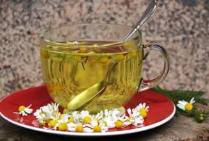 甘菊花茶图片