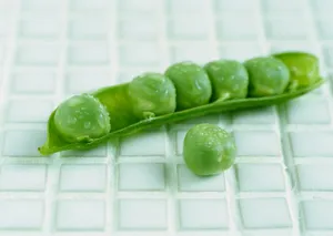 绿色豌豆图片高清第张