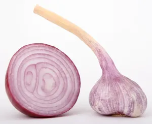 高清洋葱图片第张