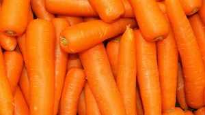 高清营养胡萝卜图片第张