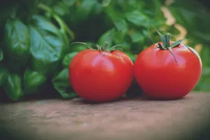 切开的西红柿高清图片第张