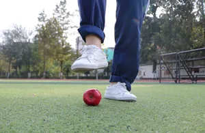 诱人的红苹果高清图片第张