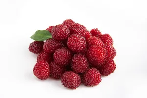 树莓高清图片第张