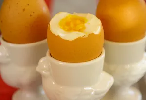 营养丰富的鸡蛋图片第张