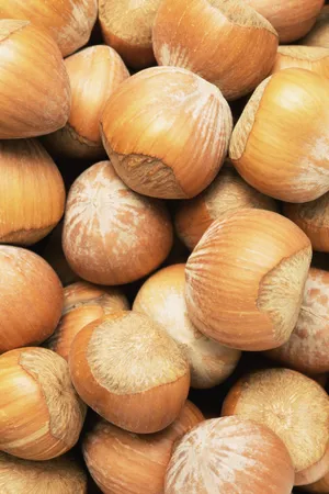 营养健康的板栗图片第张