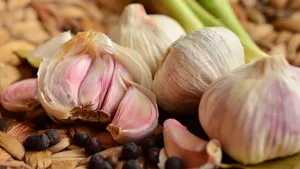 辛辣的大蒜图片第张