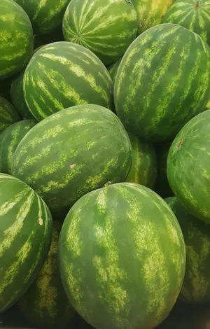 一堆新鲜的西瓜图片第张