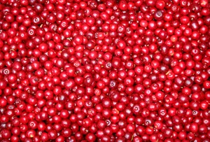 绿色和红色醋栗图片第张