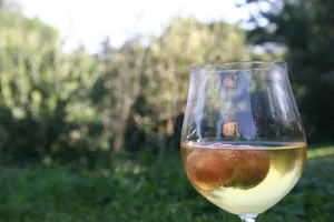 颜色好看味道可口的鸡尾酒图片第张