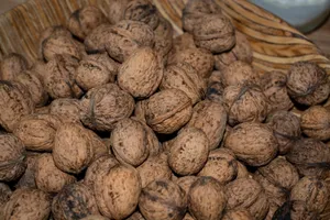 富含蛋白质的核桃图片第张