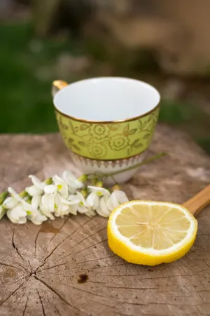 一片切好的柠檬图片第张