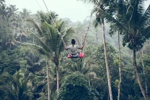 绿色丛林中荡秋千的人物图片