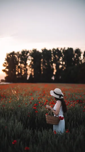 红色花海美女摘花图片