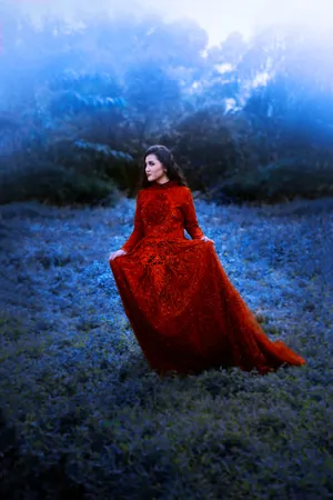 欧美大红婚纱美女写真图片第1张