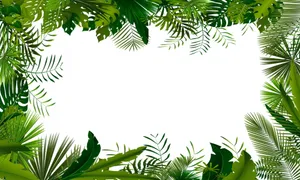 绿叶边框图案背景图片