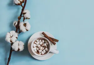 棉花背景图片素材