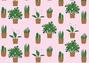 盆栽植物背景图片_1