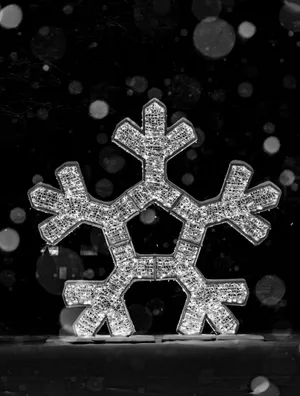 黑色背景上的雪花片图片_1
