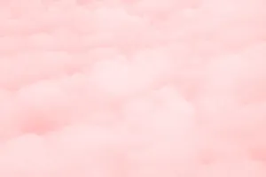 粉色淡雅纯色背景图片